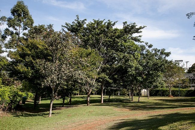 Itu Plaza Hotel Dış mekan fotoğraf